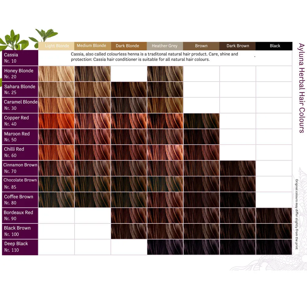 Ayluna Plant Based Hair Dye 110 Deep Black 100g