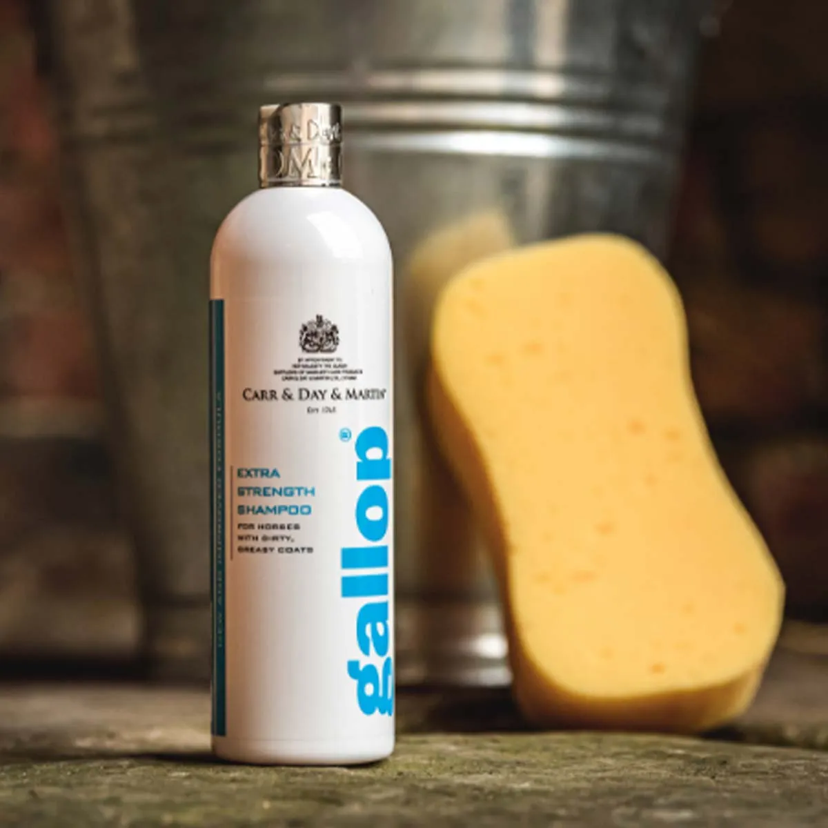 Carr & Day & Martin Gallop Extra Strength Shampoo 16.9 oz