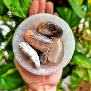 Chocolate Moonstone Tumbles