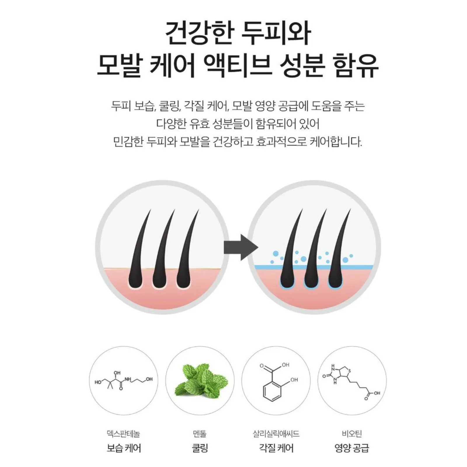 DERMA FACTORY Anti Hair Loss Shampoo 300ml *2pcs Beer Brewer's Yeast 41% Caffeine 1% Natural Active Ingredients Scalp Hair Care