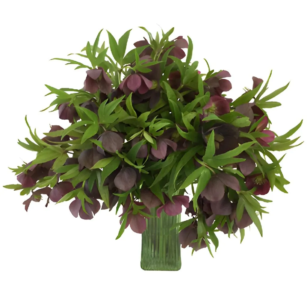 Eggplant Purple Wedding Designer Hellebore Flowers