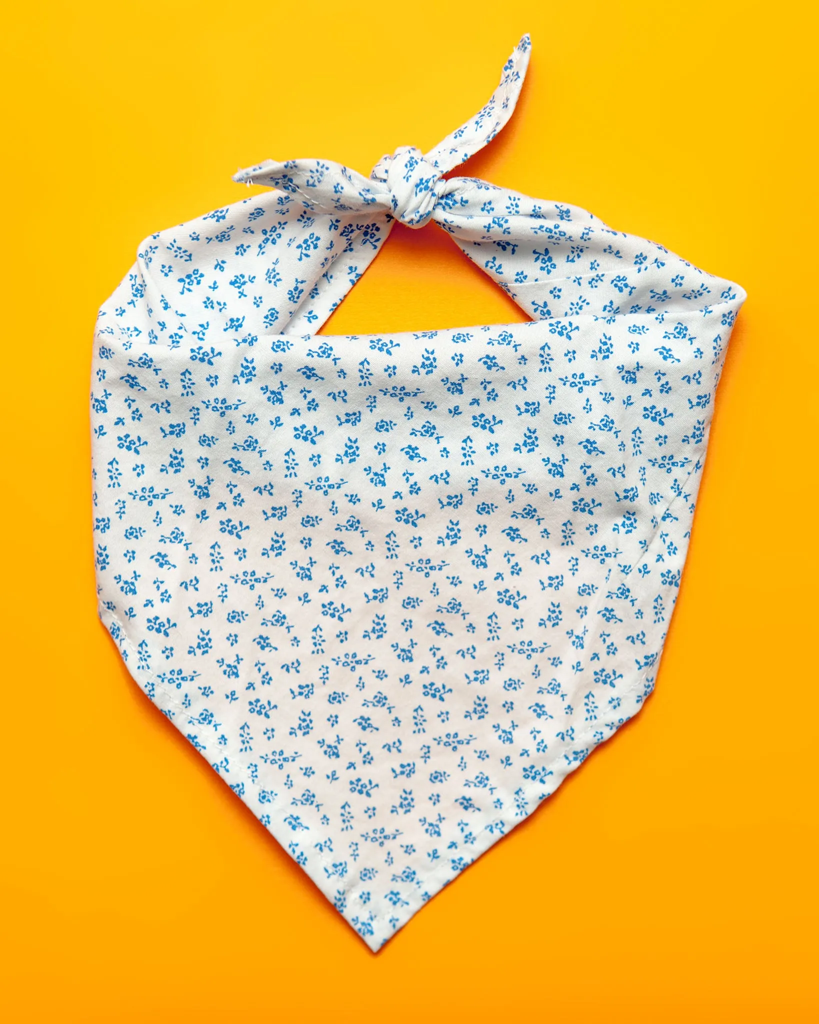 Face Mask & Dog Bandana Set in Tiger King (Immediate Ship)