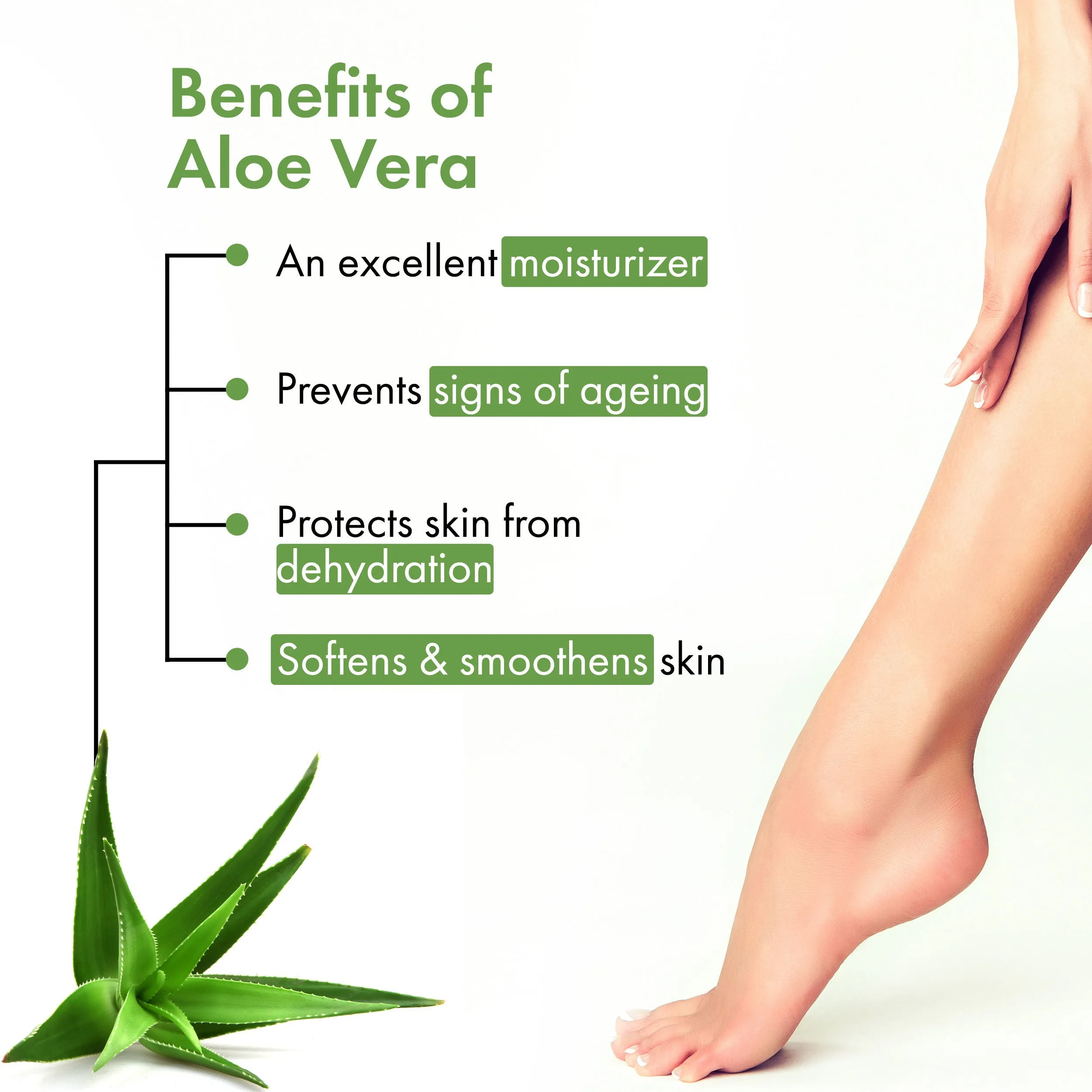 Good Vibes Aloe Vera Nourishing Foot Mask | Moisturizing, Soothing | Vegan, No Parabens, No Sulphates, No Animal Testing, No Alcohol (20 g)