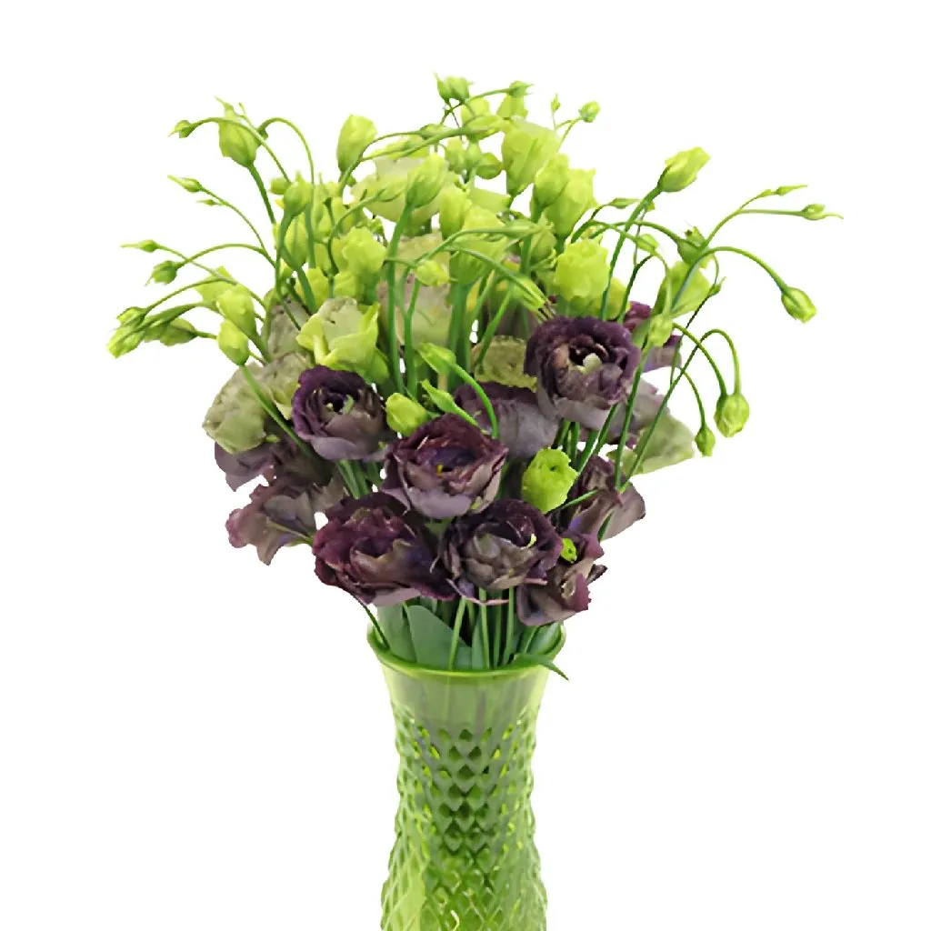 Gothic Romance Lisianthus Flower