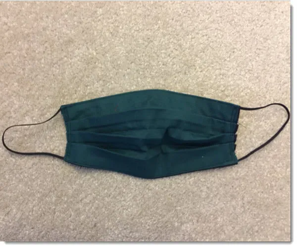 Green and Black Pleated Reversible Face Mask