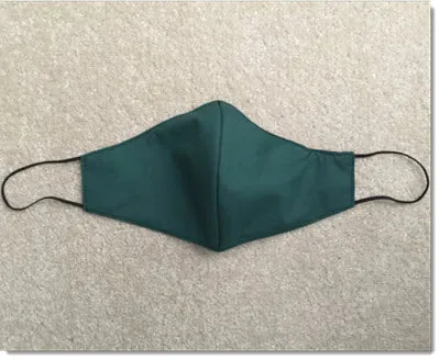 Green and Black Reversible Face Mask