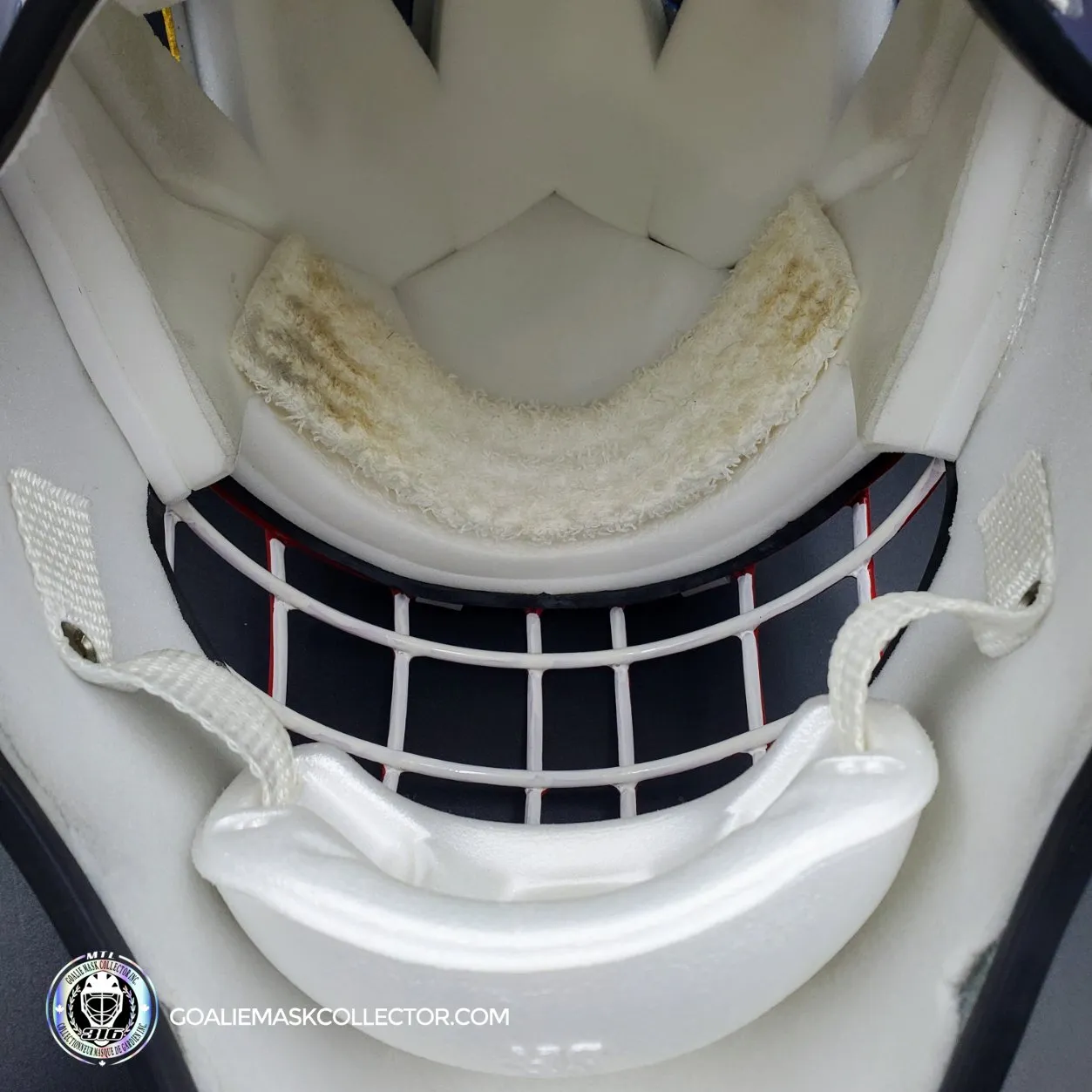 John Vanbiesbrouck Amadilla Goalie Mask Game Ready 1994 Florida Panthers Don Straus Autographed AS-02918 - SOLD