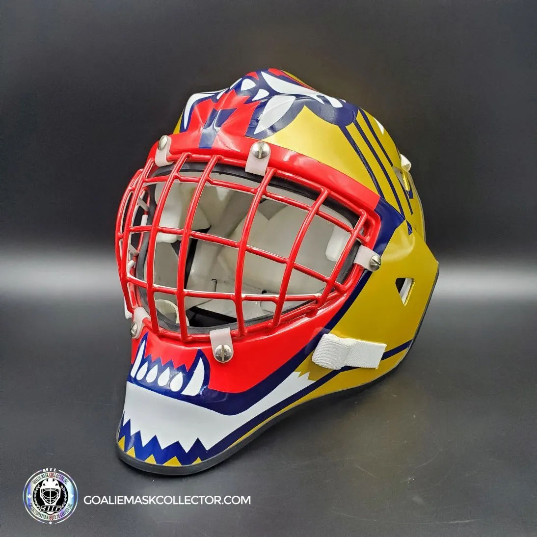 John Vanbiesbrouck Amadilla Goalie Mask Game Ready 1994 Florida Panthers Don Straus Autographed AS-02918 - SOLD