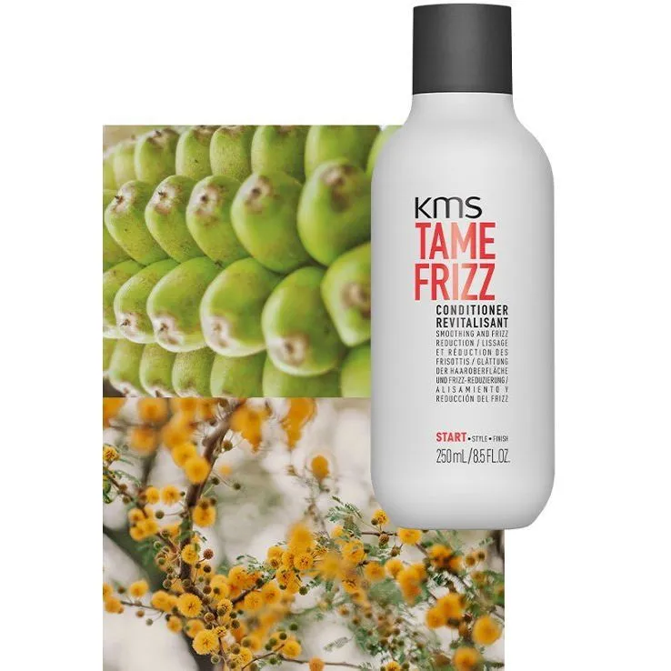 KMS TAMEFRIZZ Conditioner