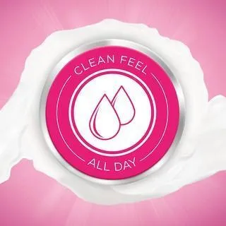 Lactacyd Feminine Wash All Day Care 150ML