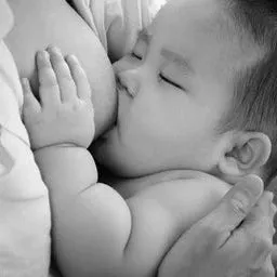 Lactation Consultation