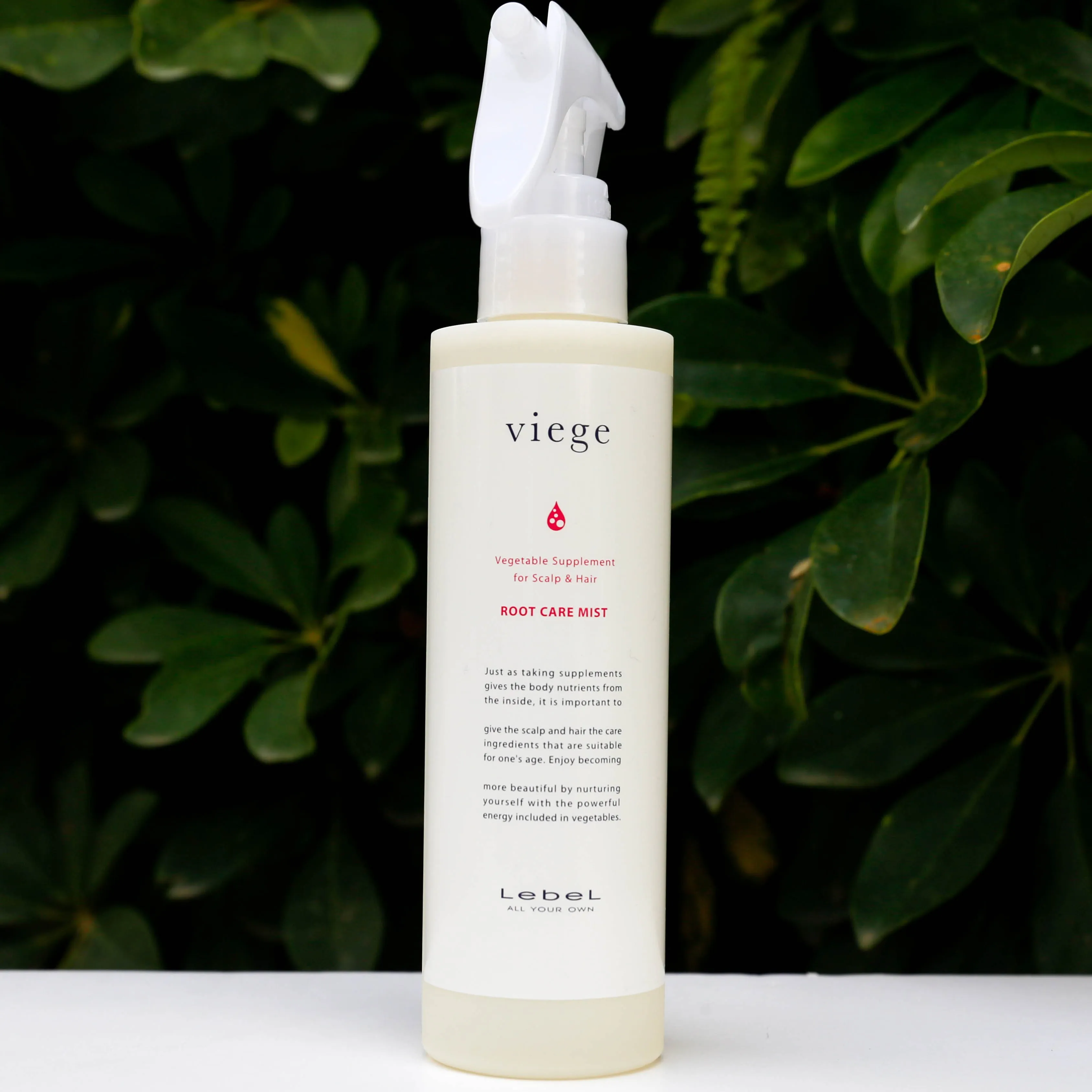 LebeL Viege Root Care Mist