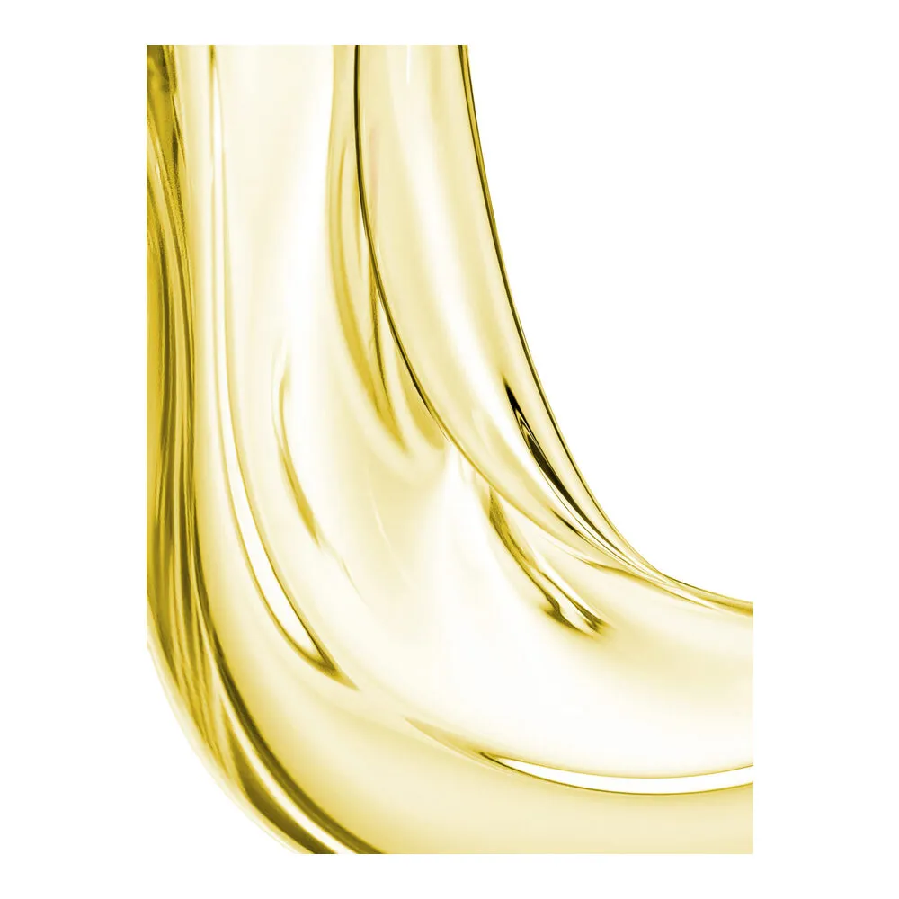 Leonor Greyl Huile de Leonor Greyl - Pre-Shampoo Oil Treatment