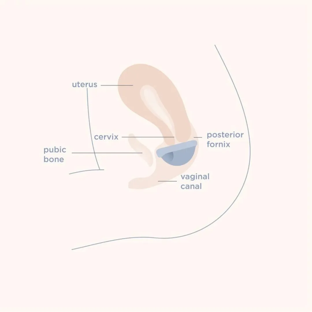 Menstrual Disc - Regular