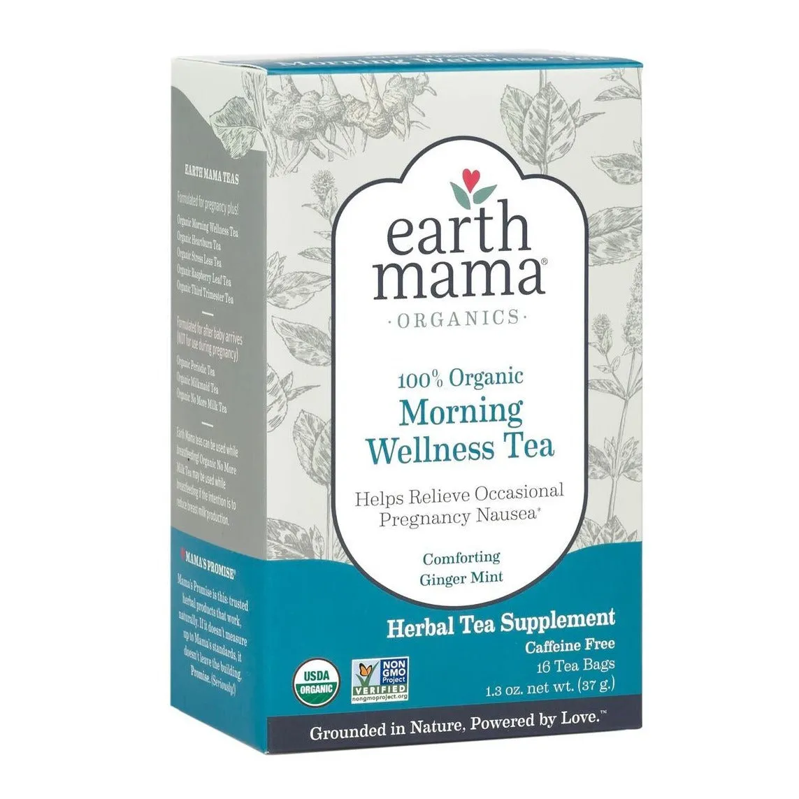 Organic Ginger Nausea Tea