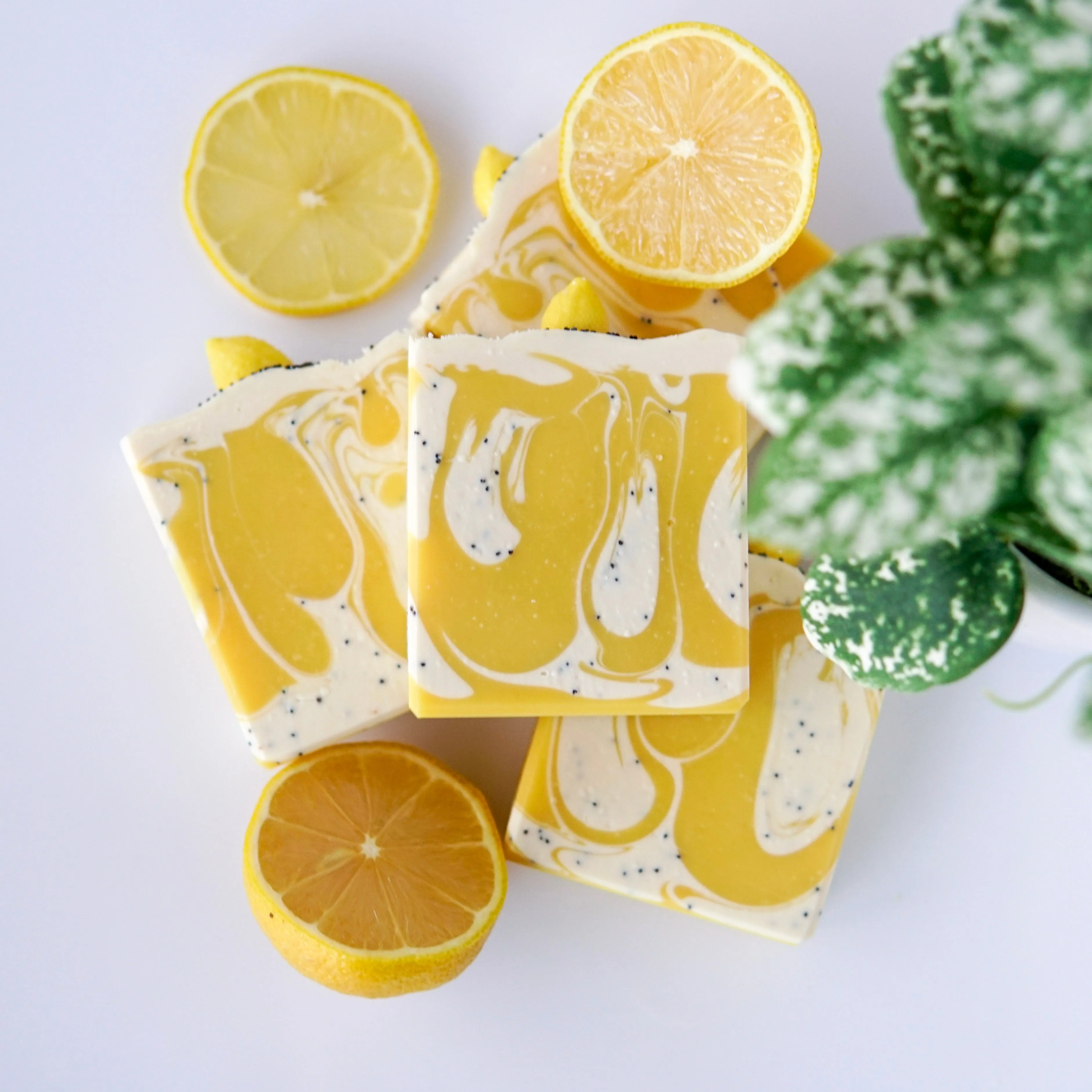 Rise and Shine! Soap Soap with Coconut Milk