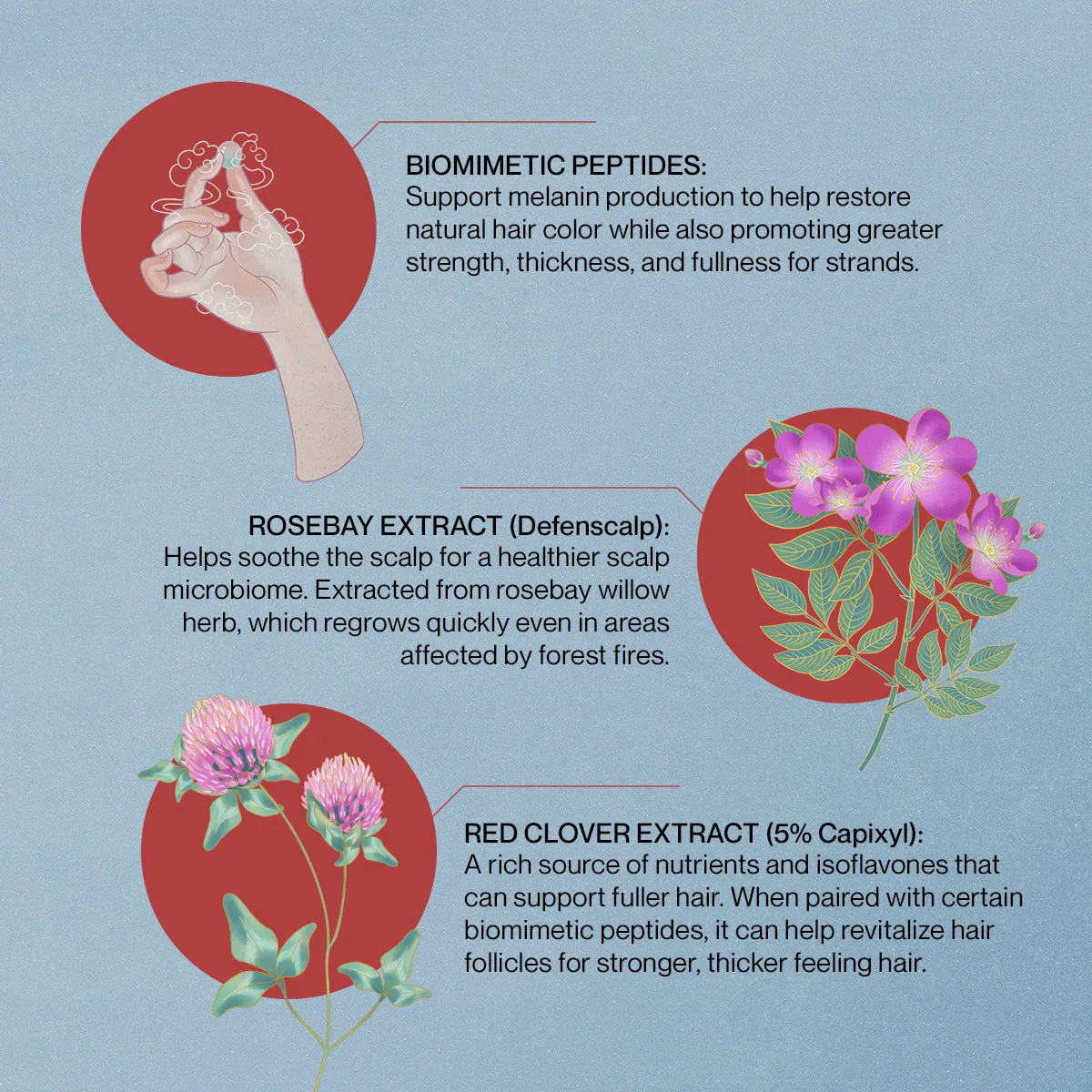 Saisei Biomimetic Peptide Treatment Essence