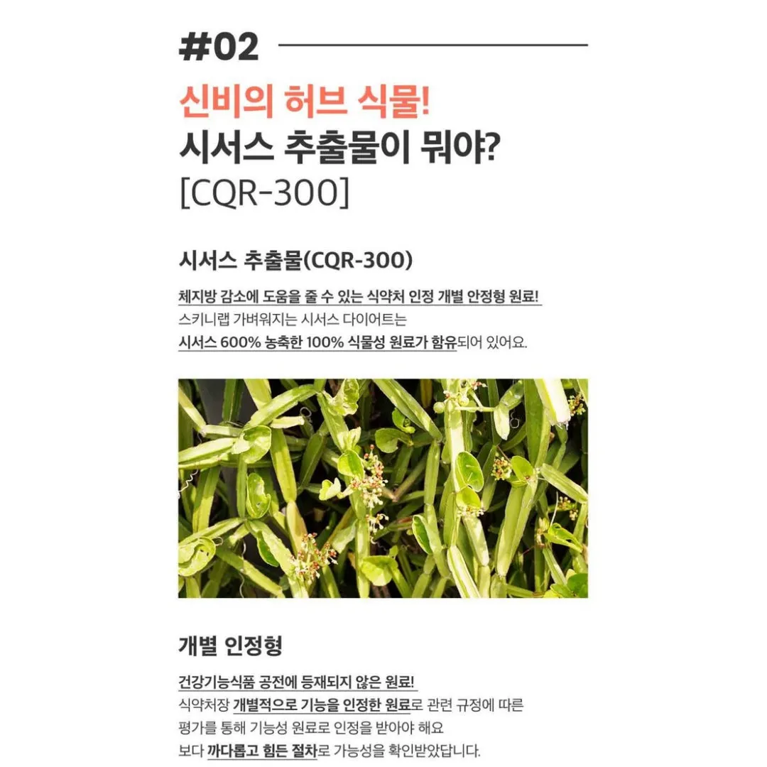 Skinny Lab Light Cissus Diet 2 boxes(28 sticks for 2 weeks) Healthy Diet Weight Management Slimming Drink K-Beauty / from Seoul, Korea