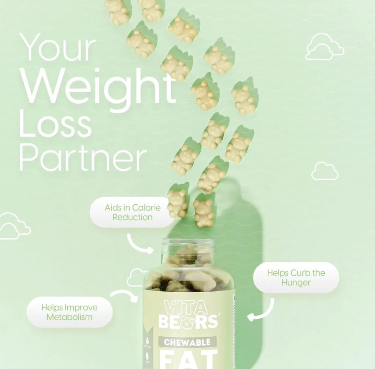 Vita Bears - FAT BUSTER ( Green )